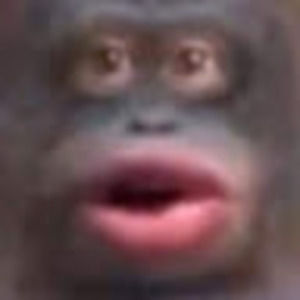 Meet your Posher, Nicholas